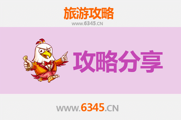 天水甘谷旅游攻略：跟团与自由行深度对比